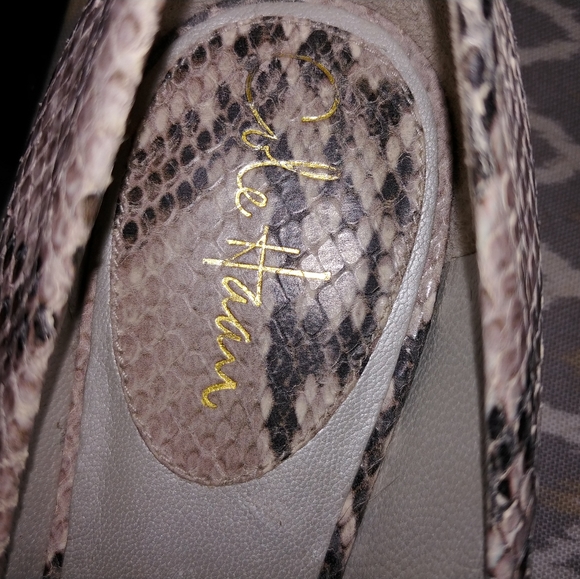 Cole Haan nike snake print flats - Picture 4 of 5